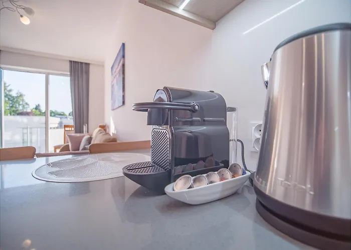 Lema Modern * Danzig